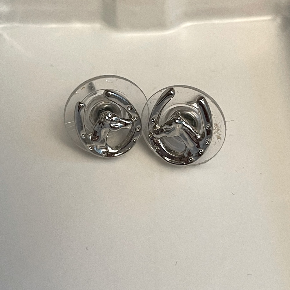 Horse Head In Horseshoe Earrings